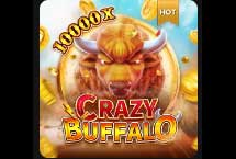 Crazy Buffalo