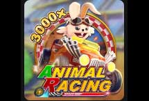 Animal Racing